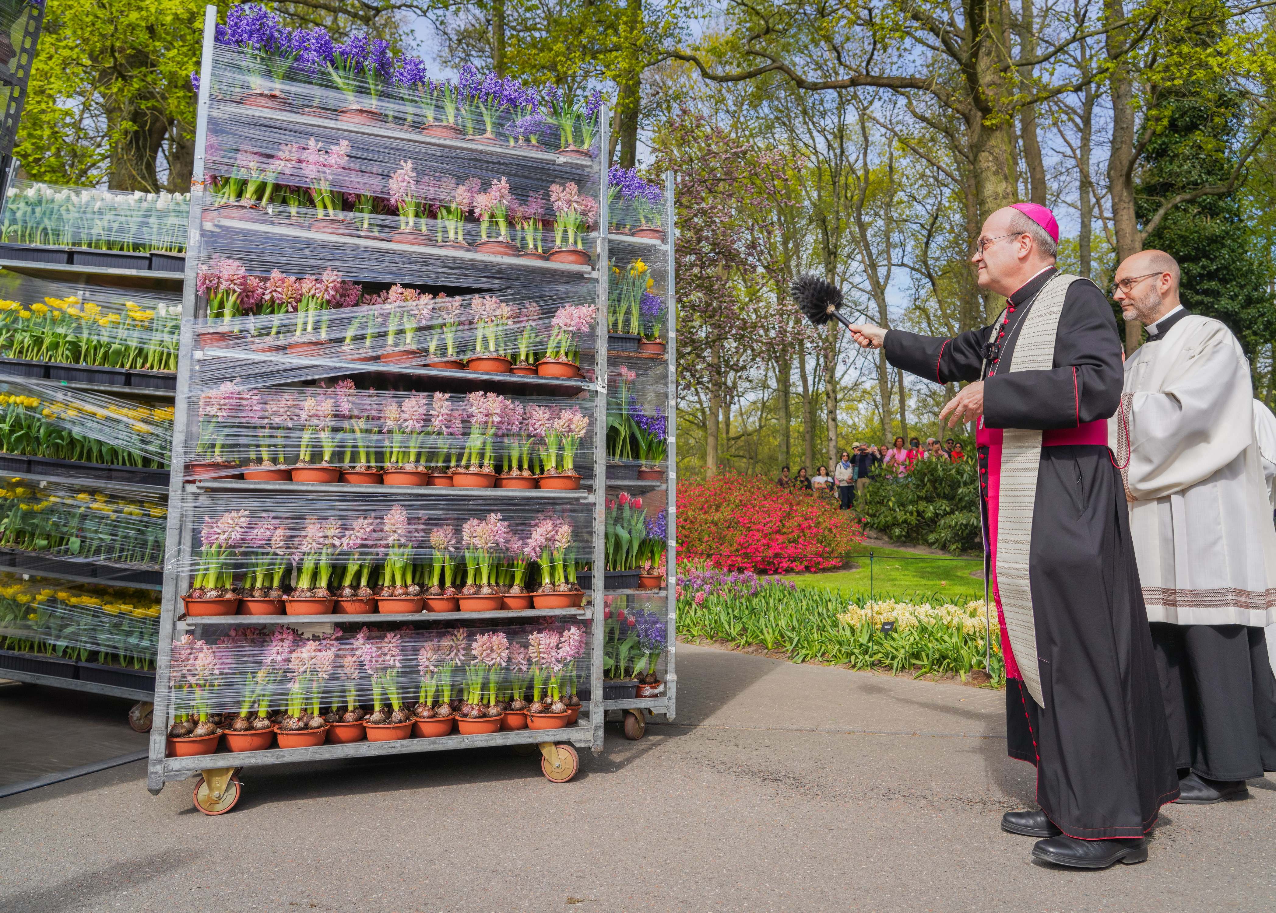 Bloemen vanaf Keukenhof onderweg naar Sint-Pietersplein